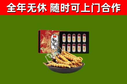 伊春市回收冬虫夏草价格