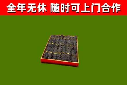 伊春市回收海参